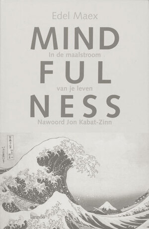 Mindfulness, in de maalstroom van je leven